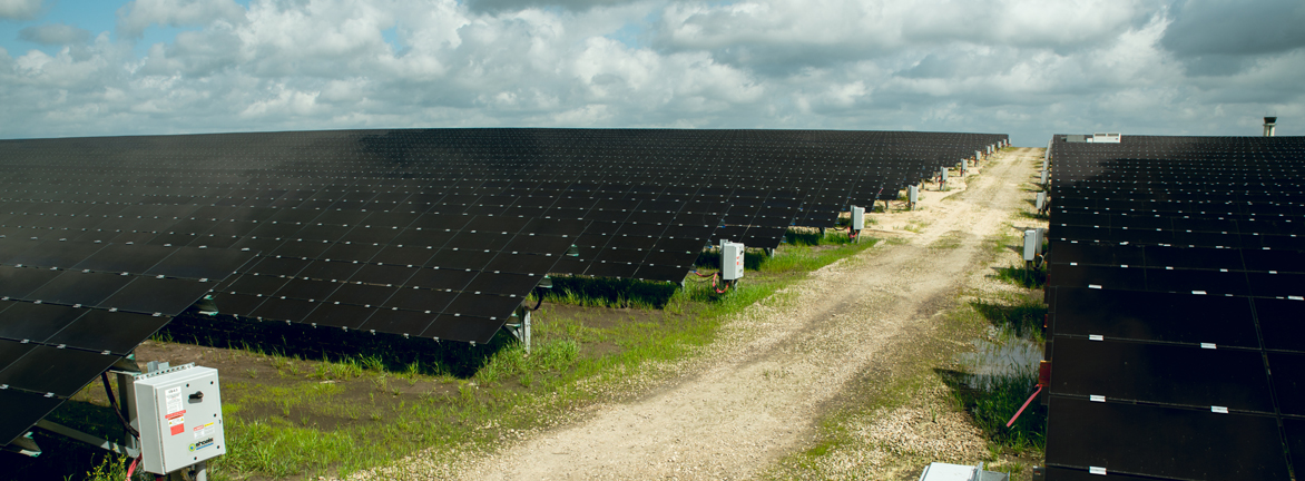 Solar Farm